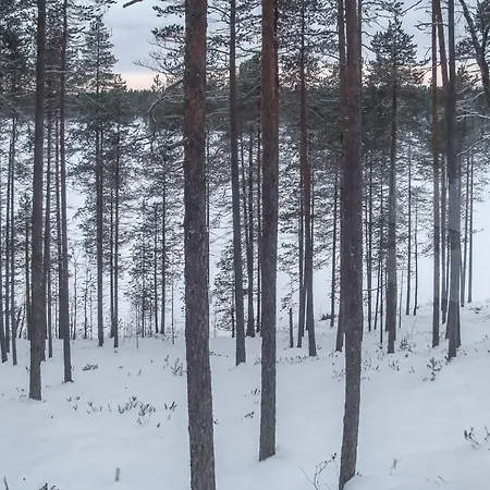 Seppola By Interhome Ruka